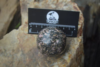 Polished Medium Rhodonite Sphere-Balls - Sold Per Item - From Madagascar