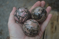 Polished Medium Rhodonite Sphere-Balls - Sold Per Item - From Madagascar