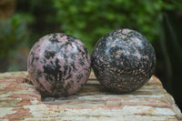 Polished Medium Rhodonite Sphere-Balls - Sold Per Item - From Madagascar