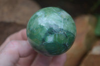 Polished Medium Buddstone Sphere-Balls - Sold Per Item - From Swaziland