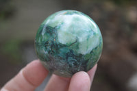 Polished Medium Buddstone Sphere-Balls - Sold Per Item - From Swaziland