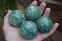 Polished Medium Buddstone Sphere-Balls - Sold Per Item - From Swaziland