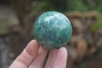 Polished Medium Buddstone Sphere-Balls - Sold Per Item - From Swaziland