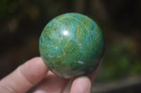 Polished Medium Buddstone Sphere-Balls - Sold Per Item - From Swaziland