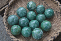 Polished Medium Buddstone Sphere-Balls - Sold Per Item - From Swaziland