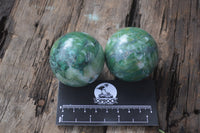 Polished Medium Buddstone Sphere-Balls - Sold Per Item - From Swaziland