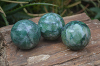 Polished Medium Buddstone Sphere-Balls - Sold Per Item - From Swaziland