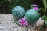 Polished Medium Buddstone Sphere-Balls - Sold Per Item - From Swaziland