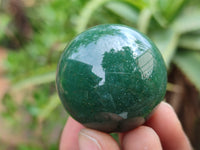 Polished Green Quartz Sphere-Balls - Sold Per Item - From Zimbabwe