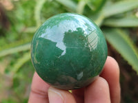 Polished Green Quartz Sphere-Balls - Sold Per Item - From Zimbabwe