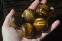 Polished Golden Tigers Eye Sphere-Ball - Sold Per Item - From South Africa