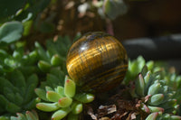 Polished Golden Tigers Eye Sphere-Ball - Sold Per Item - From South Africa