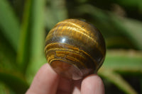 Polished Golden Tigers Eye Sphere-Ball - Sold Per Item - From South Africa