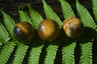 Polished Golden Tigers Eye Sphere-Ball - Sold Per Item - From South Africa