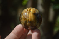 Polished Golden Tigers Eye Sphere-Ball - Sold Per Item - From South Africa