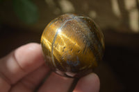 Polished Golden Tigers Eye Sphere-Ball - Sold Per Item - From South Africa