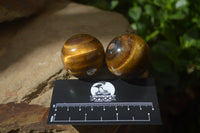 Polished Golden Tigers Eye Sphere-Ball - Sold Per Item - From South Africa