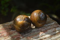 Polished Golden Tigers Eye Sphere-Ball - Sold Per Item - From South Africa