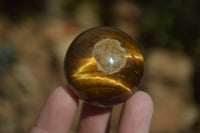 Polished Golden Tigers Eye Sphere-Ball - Sold Per Item - From South Africa