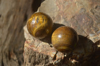 Polished Golden Tigers Eye Sphere-Ball - Sold Per Item - From South Africa