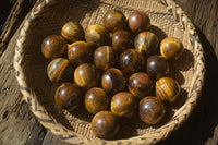 Polished Golden Tigers Eye Sphere-Ball - Sold Per Item - From South Africa