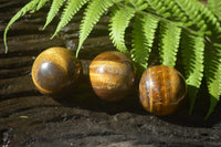 Polished Golden Tigers Eye Sphere-Ball - Sold Per Item - From South Africa