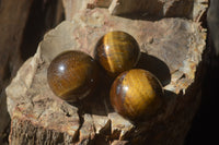 Polished Golden Tigers Eye Sphere-Ball - Sold Per Item - From South Africa