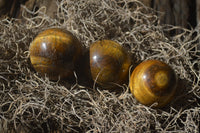 Polished Golden Tigers Eye Sphere-Ball - Sold Per Item - From South Africa