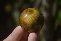 Polished Golden Tigers Eye Sphere-Ball - Sold Per Item - From South Africa