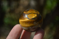 Polished Golden Tigers Eye Sphere-Ball - Sold Per Item - From South Africa