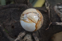 Polished Medium Namibian Desert Picture Stone Jasper Sphere-Balls - Sold Per Item - From Namibia