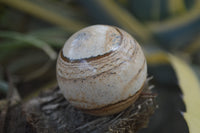 Polished Medium Namibian Desert Picture Stone Jasper Sphere-Balls - Sold Per Item - From Namibia