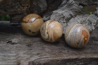 Polished Medium Namibian Desert Picture Stone Jasper Sphere-Balls - Sold Per Item - From Namibia