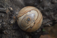 Polished Medium Namibian Desert Picture Stone Jasper Sphere-Balls - Sold Per Item - From Namibia