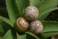 Polished Medium Namibian Desert Picture Stone Jasper Sphere-Balls - Sold Per Item - From Namibia