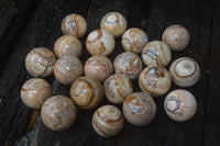 Polished Medium Namibian Desert Picture Stone Jasper Sphere-Balls - Sold Per Item - From Namibia