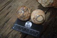 Polished Medium Namibian Desert Picture Stone Jasper Sphere-Balls - Sold Per Item - From Namibia