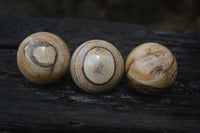 Polished Medium Namibian Desert Picture Stone Jasper Sphere-Balls - Sold Per Item - From Namibia