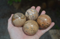 Polished Medium Namibian Desert Picture Stone Jasper Sphere-Balls - Sold Per Item - From Namibia