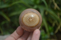 Polished Medium Namibian Desert Picture Stone Jasper Sphere-Balls - Sold Per Item - From Namibia