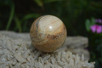 Polished Medium Namibian Desert Picture Stone Jasper Sphere-Balls - Sold Per Item - From Namibia