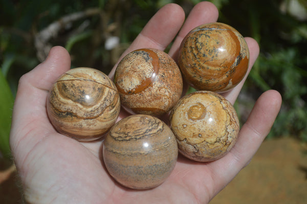 Polished Small Namibian Desert Picture Stone Jasper Sphere-Balls - Sold Per Item - From Namibia