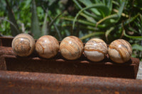 Polished Small Namibian Desert Picture Stone Jasper Sphere-Balls - Sold Per Item - From Namibia