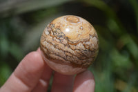 Polished Small Namibian Desert Picture Stone Jasper Sphere-Balls - Sold Per Item - From Namibia