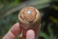 Polished Small Namibian Desert Picture Stone Jasper Sphere-Balls - Sold Per Item - From Namibia