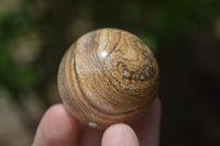 Polished Small Namibian Desert Picture Stone Jasper Sphere-Balls - Sold Per Item - From Namibia