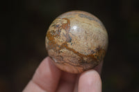 Polished Small Namibian Desert Picture Stone Jasper Sphere-Balls - Sold Per Item - From Namibia