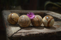 Polished Small Namibian Desert Picture Stone Jasper Sphere-Balls - Sold Per Item - From Namibia