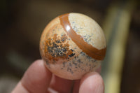 Polished Small Namibian Desert Picture Stone Jasper Sphere-Balls - Sold Per Item - From Namibia