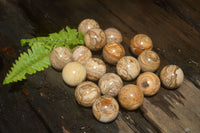 Polished Small Namibian Desert Picture Stone Jasper Sphere-Balls - Sold Per Item - From Namibia